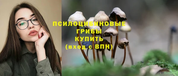 MESCALINE Михайлов