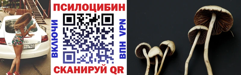 ОМГ ОМГ зеркало Райчихинск Псилоцибиновые грибы Psilocybe